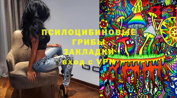 Альфа ПВП Медногорск
