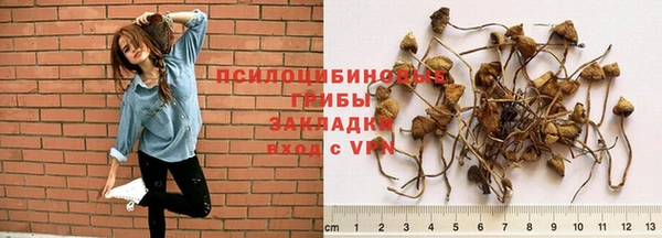 хмурый Михайловка