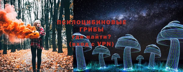 гидра Михайлов